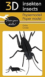 Insecten - 3D karton model
