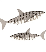 Haai - 3D karton model