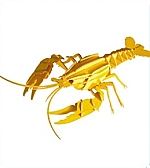 Kreeft - 3D karton model