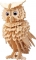 Owl Gepetto's workshop 