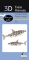 Haai - 3D karton model