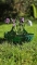 Kievitsbloemen Piet Design