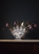 Kievitsbloemen Piet Design
