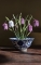 Kievitsbloemen Piet Design