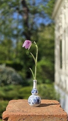 Kievitsbloemen Piet Design