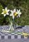 Wilde Narcissen Piet design