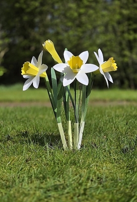 Wilde Narcissen Piet design